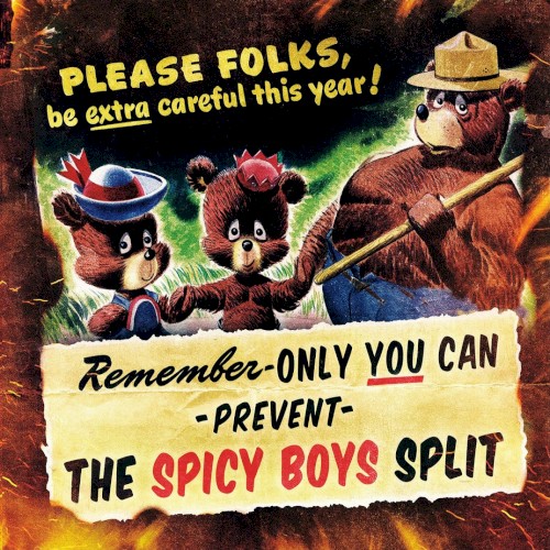 Cover-Artwork für die EP The Spicy Boys Split von 156/Silence