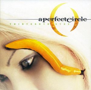 a-perfect-circle_2nd_album