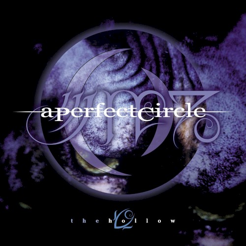 The Hollow by A Perfect Circle single cover art