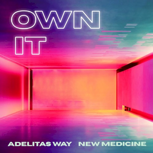 Pochette de Own It par Adelitas Way (single)