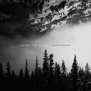 after-the-burial_6th_album