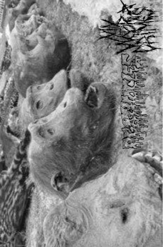 Agathocles / My War Crimes by Agathocles album cover art