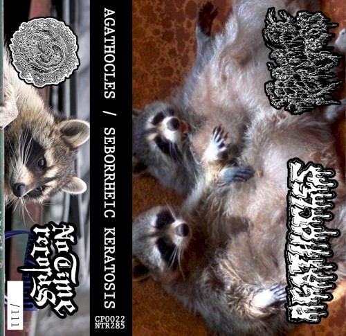 Agathocles 的 Agathocles / Seborrheic Keratosis Split 专辑封面