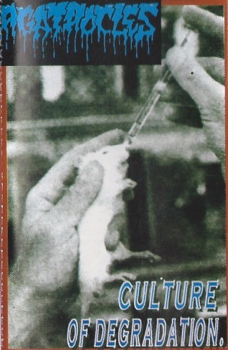 Pochette de Culture of Degradation par Agathocles (album)