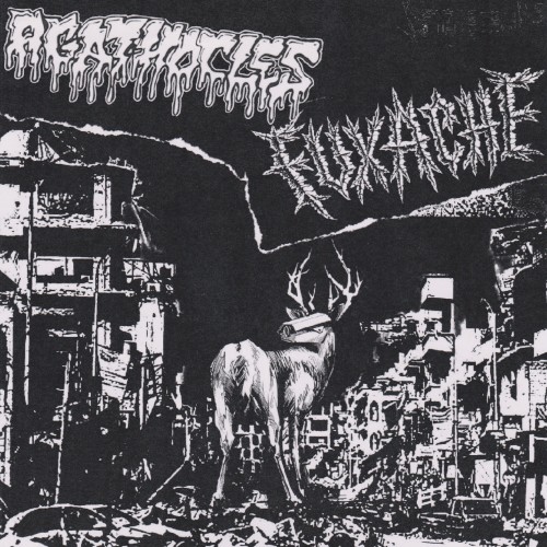 Agathocles 的 Agathocles / Fuxache EP封面
