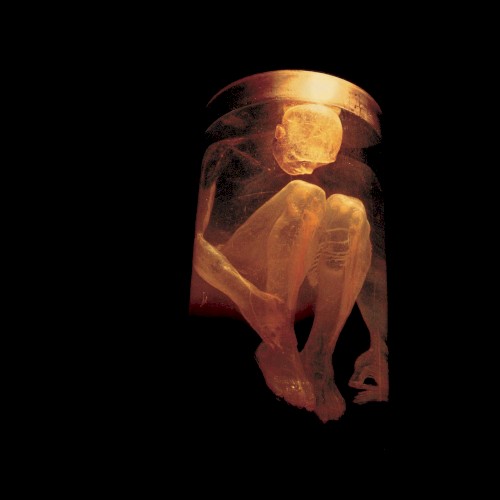 Alice In Chains 的 Nothing Safe: The Best of the Box 专辑封面