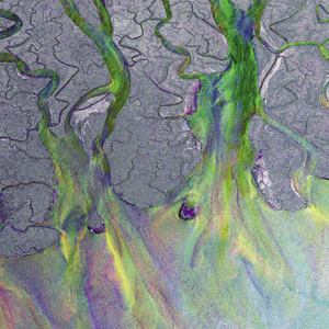 alt-j_1st_album