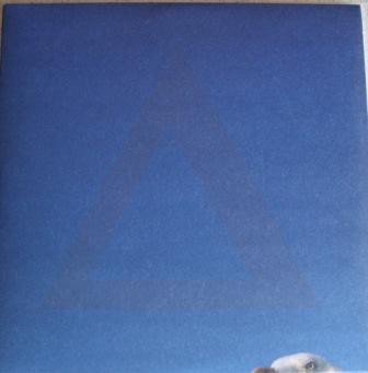 Cover-Artwork für die Single Bloodflood / Tessellate von alt-J