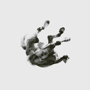 anberlin_5th_album