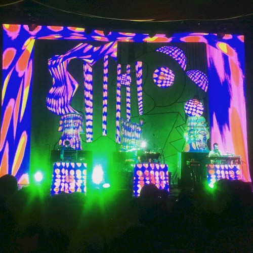 Pochette de Live at Fonda Theatre March 9, 2016 par Animal Collective (album)