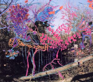 animal-collective_1st_album