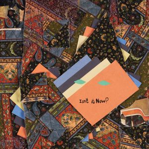 animal-collective_9th_album