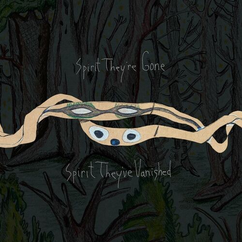 animal-collective_chocolate-girl-untitled-1_single