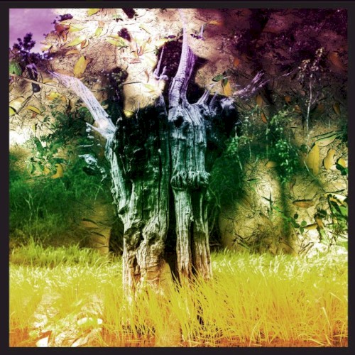 animal-collective_meeting-of-the-waters_ep