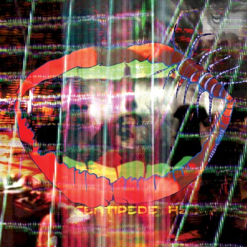 Animal Collective 的 Today’s Supernatural 单曲封面