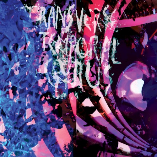 Pochette de Transverse Temporal Gyrus par Animal Collective (single)