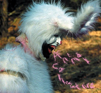 Animal Collective 的 Who Could Win a Rabbit 单曲封面