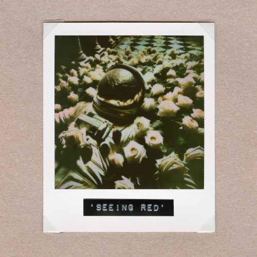 Pochette de Seeing Red par Architects (single)