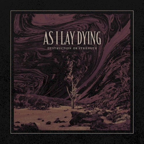 as-i-lay-dying_destruction-or-strength_single
