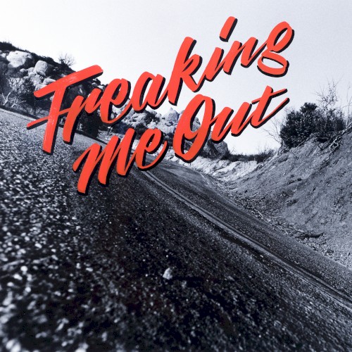 Cover-Artwork für die Single Freaking Me Out von AWOLNATION