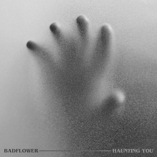 Cover-Artwork für die Single Haunting You von Badflower
