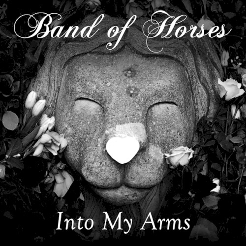 Into My Arms by Band of Horses single cover art
