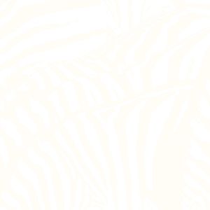 beach-house_3rd_album