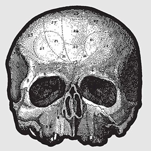 Black Pearl by Black Label Society single cover art