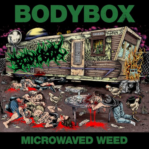 BODYBOX 的 Microwaved Weed EP 封面