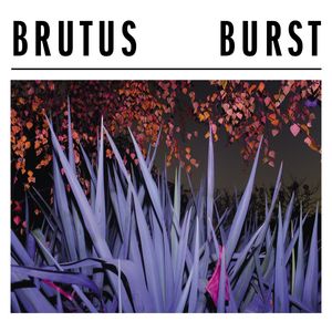 brutus_1st_album