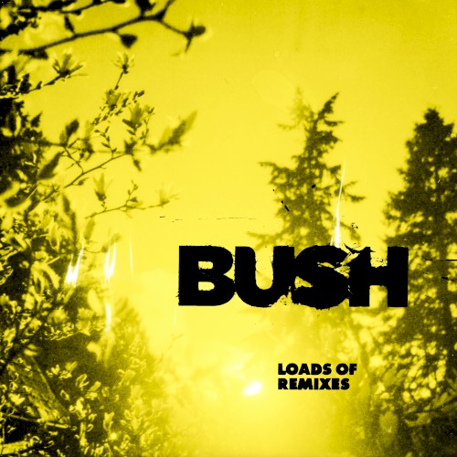 Pochette de Loads of Remixes par Bush (album)