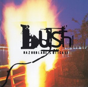 bush_2nd_album
