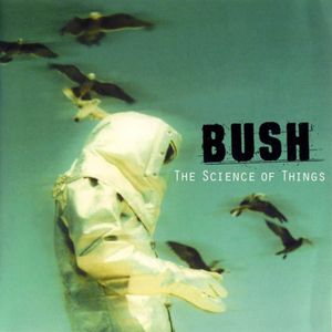 bush_3rd_album