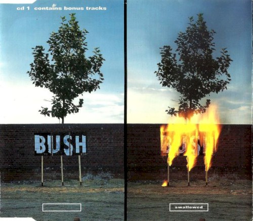 Portada del sencillo Swallowed de Bush