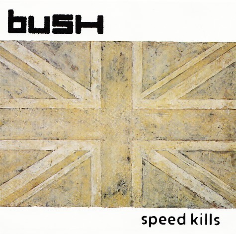 Portada del sencillo The People That We Love de Bush