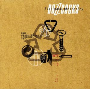 buzzcocks_8th_album