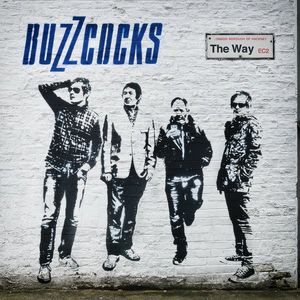 buzzcocks_9th_album