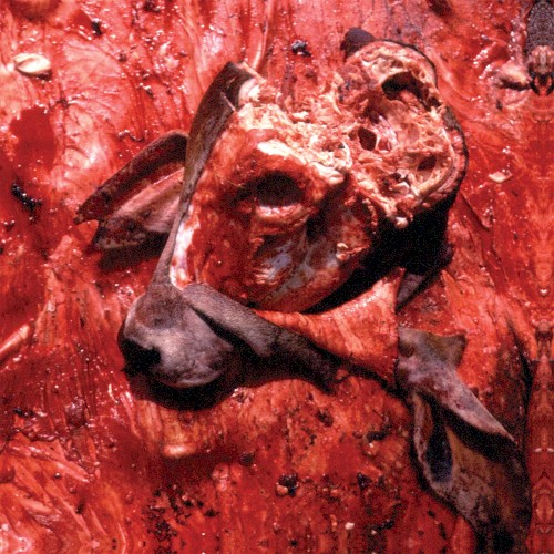 Human Jerky by Cattle Decapitation EP cover art