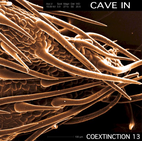 Coextinction Release 13 by Cave In EP cover art