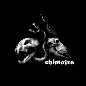 chimaira_3rd_album