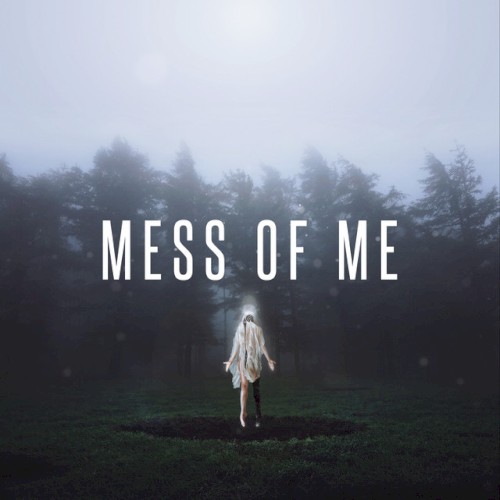 Mess of Me by Citizen Soldier single cover art