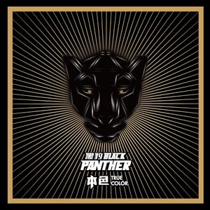 cn-black-panther_7th_album