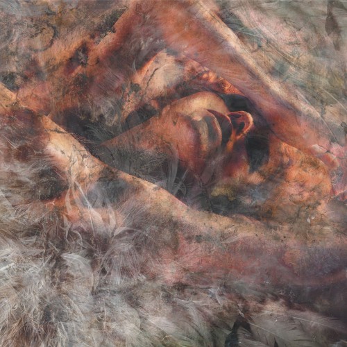 Unloved and Weeded Out by Converge album cover art