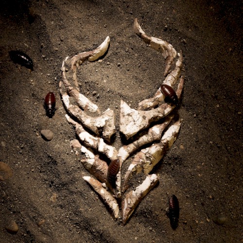 I'm Done by Demon Hunter single cover art