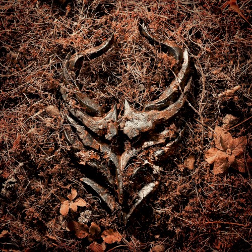 Light Bends by Demon Hunter single cover art