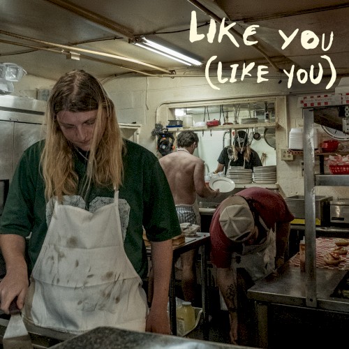 Like You (Like You) by Dexter and The Moonrocks single cover art