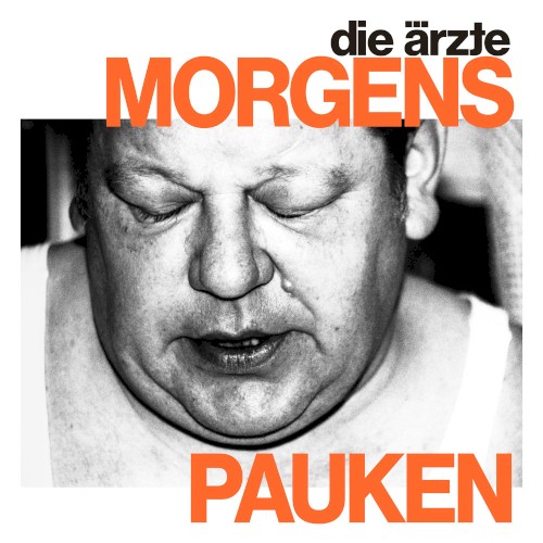 Morgens Pauken by Die Ärzte single cover art