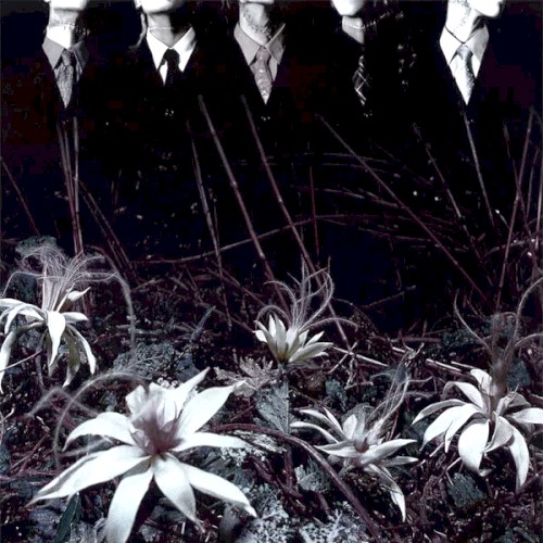 Pochette de ain’t afraid to die par Dir En Grey (single)