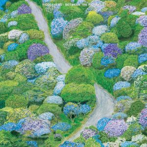 fiddlehead_2nd_album