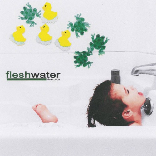 Fleshwater 的 demo2020 单曲封面